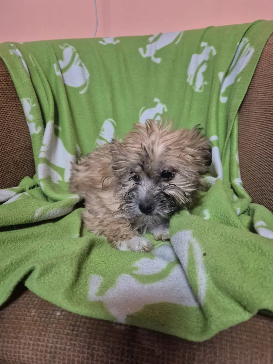 Vicky Foto 7