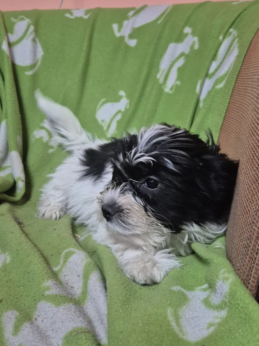 Jan Foto 3