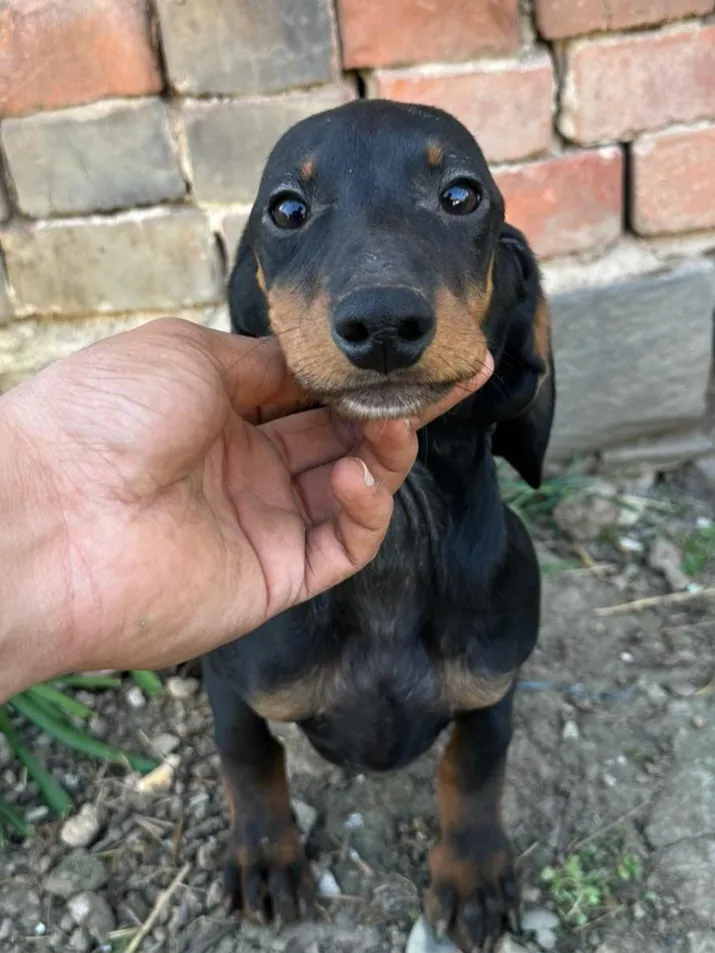 WILMA Foto 1