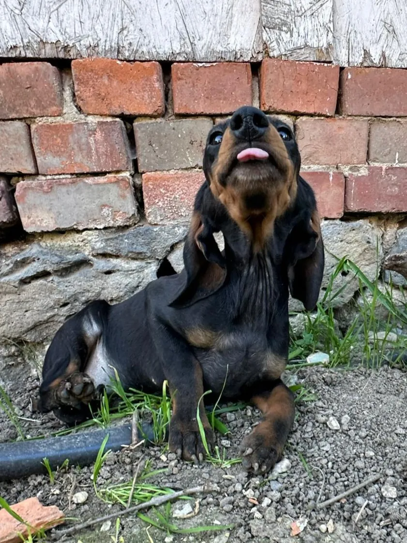 WILMA Foto 2
