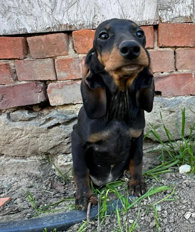 WILMA Foto 3