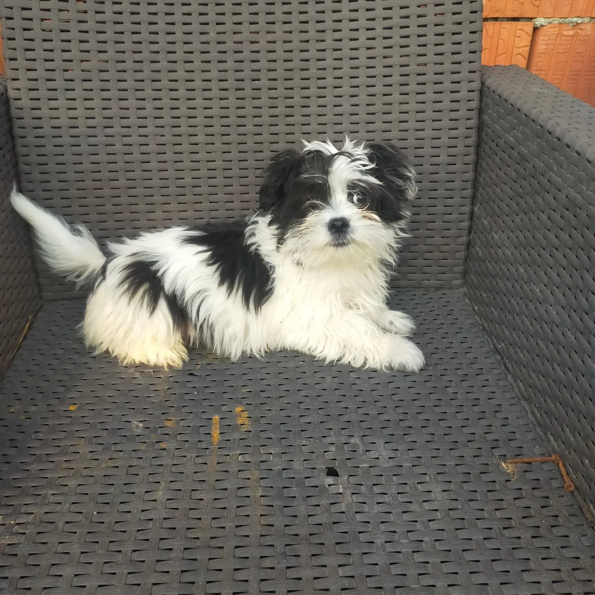 Karl Foto 4