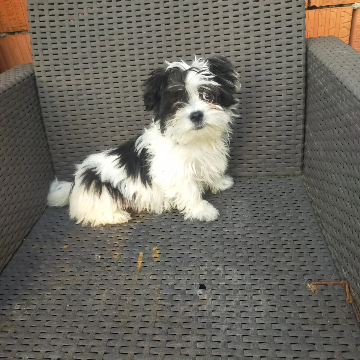 Karl Foto 5