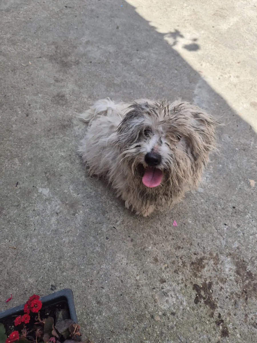 Max Foto 3