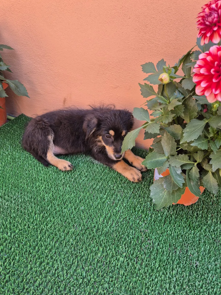 Sam Foto 3