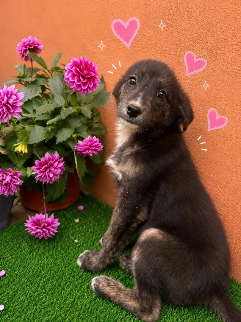 Maya Foto 1