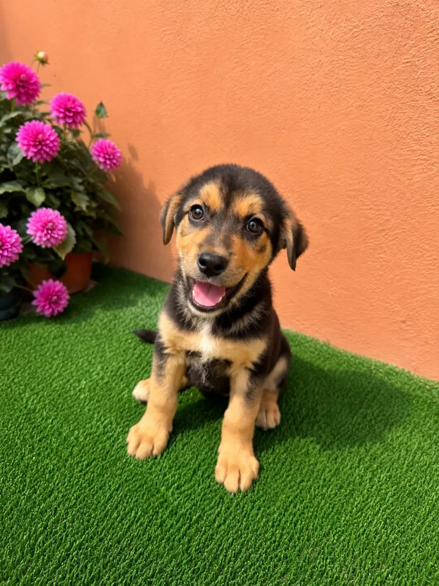 Oscar Foto 2