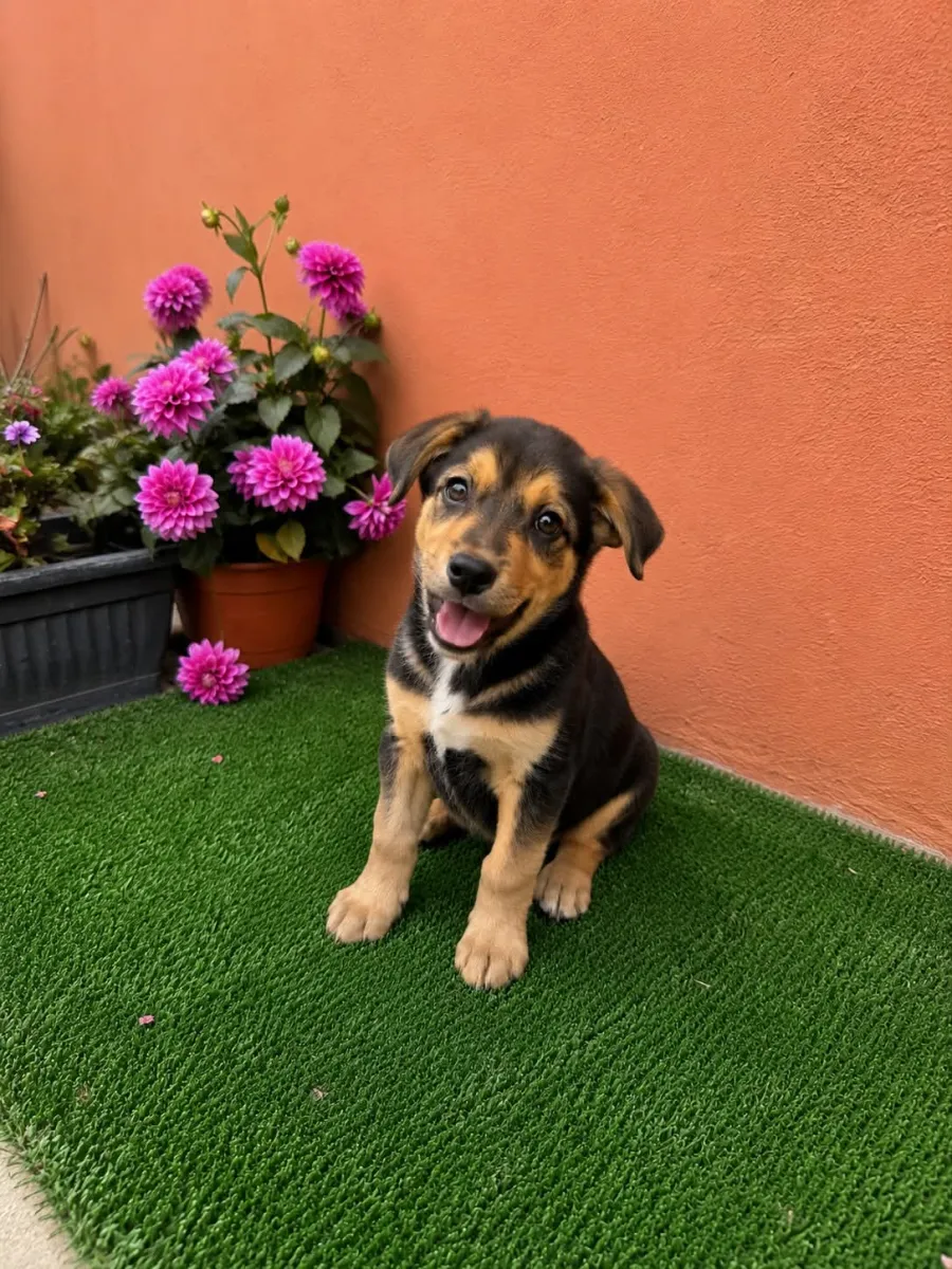 Oscar Foto 4