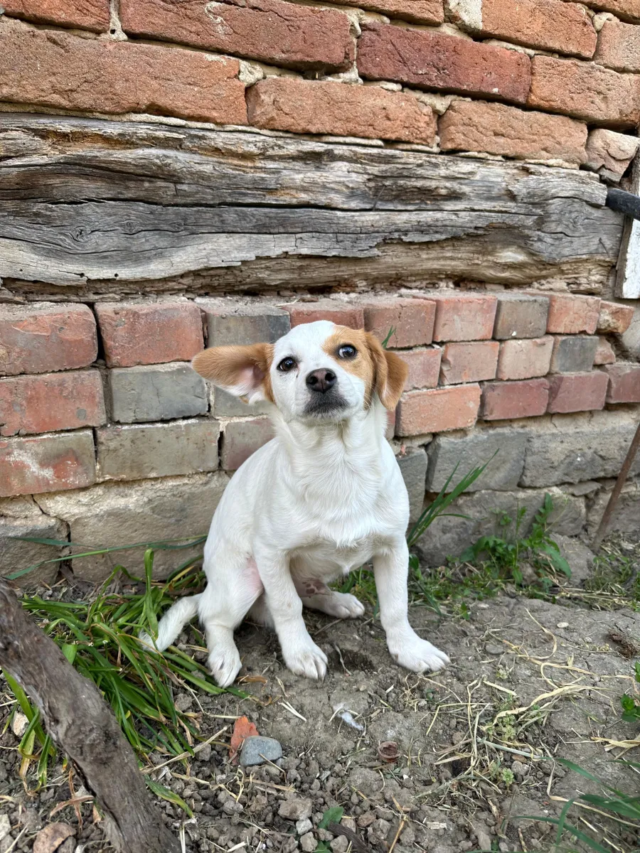 Sammy Foto 3