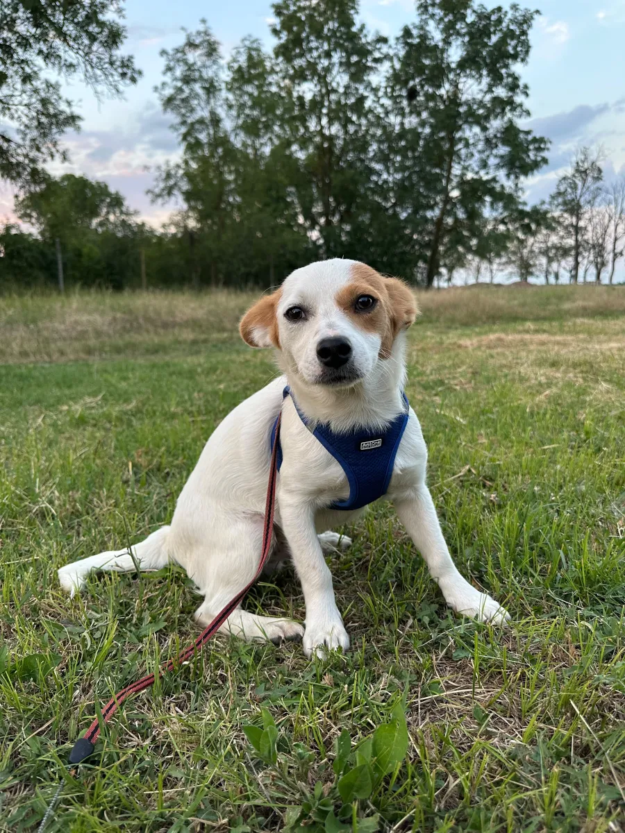 Sammy Foto 4