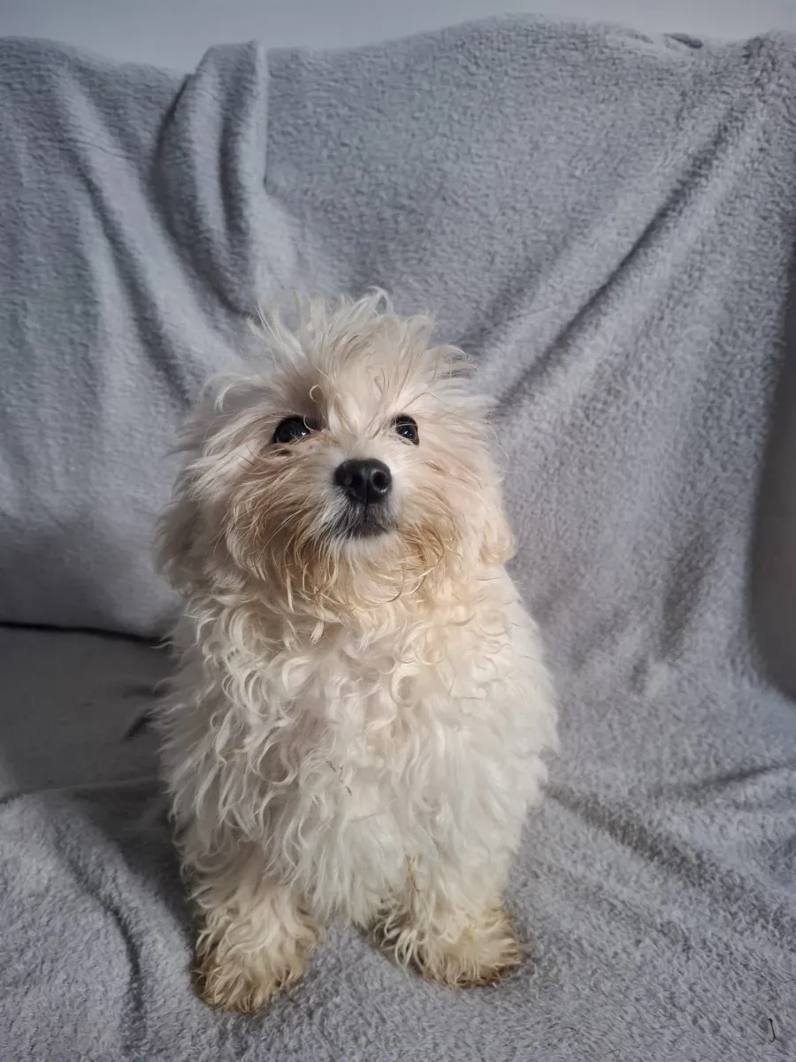Freya Foto 4