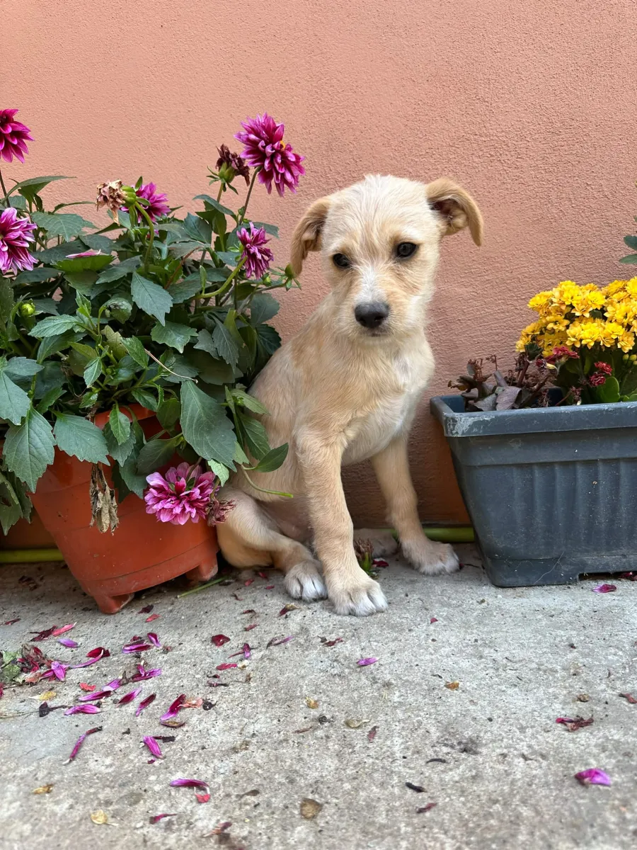 Cuno Foto 1
