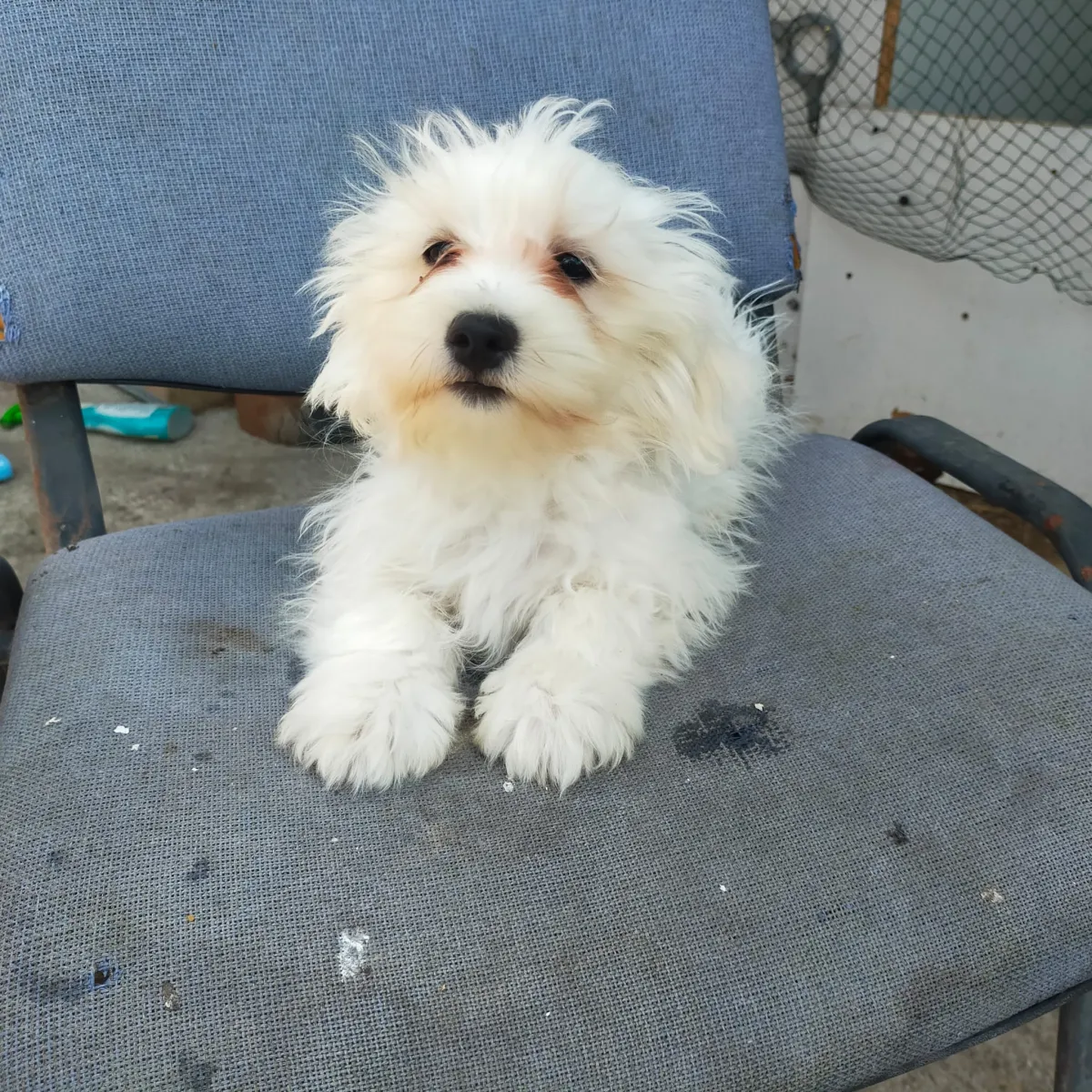 Billy  Foto 2