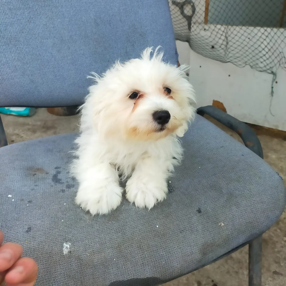Billy  Foto 3