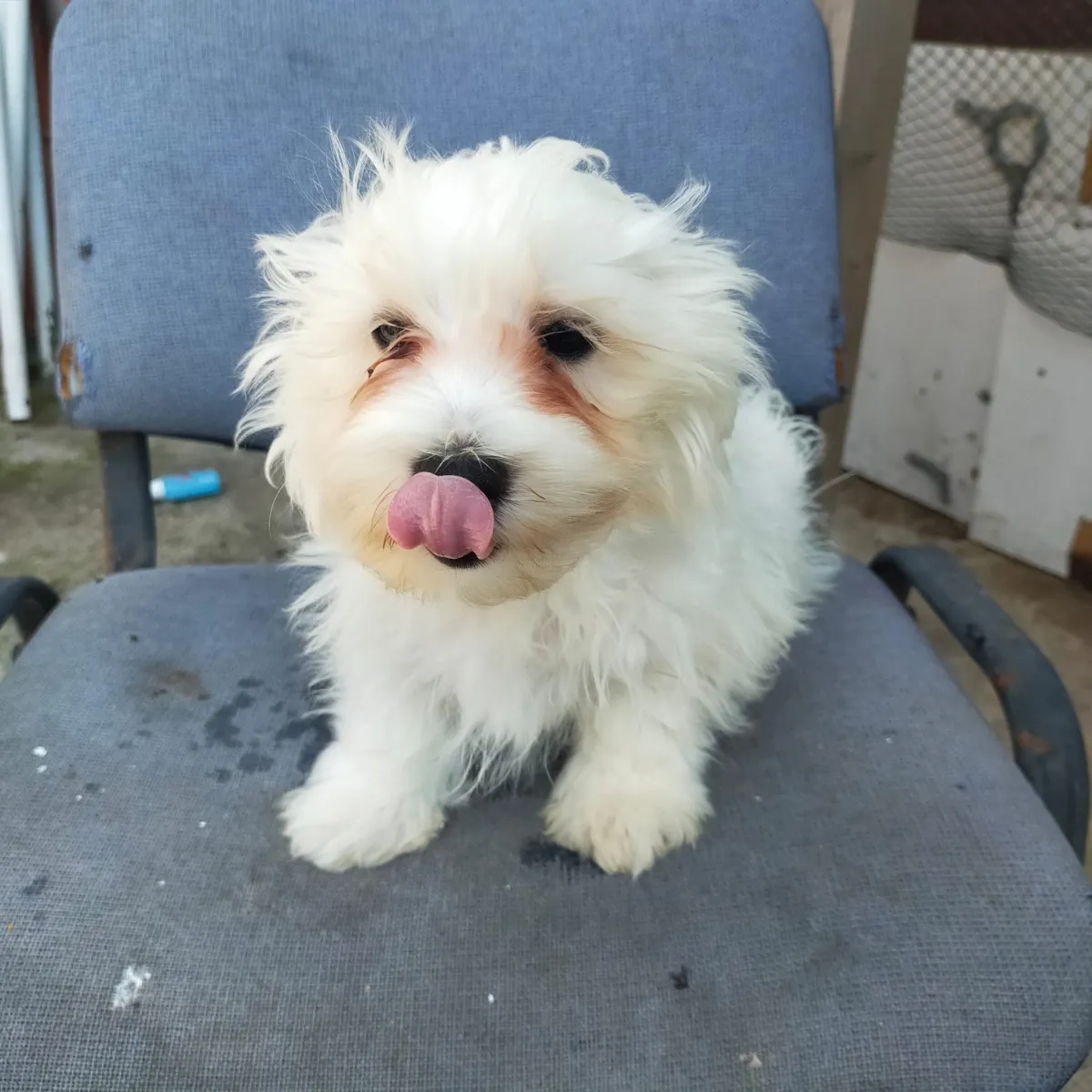 Billy  Foto 5