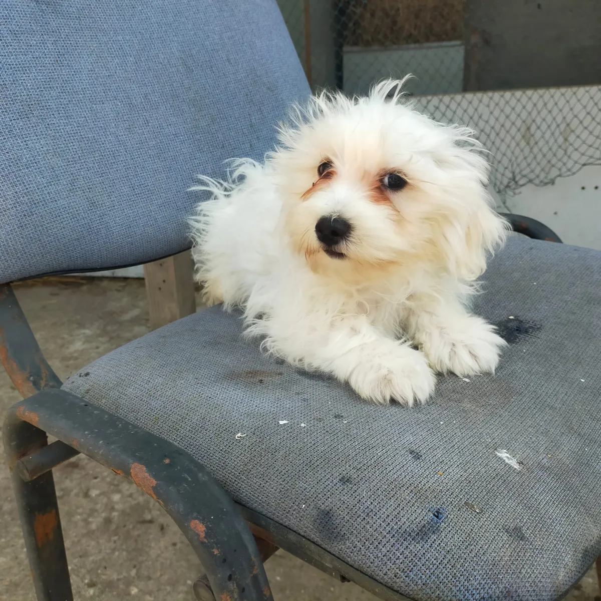 Billy  Foto 7