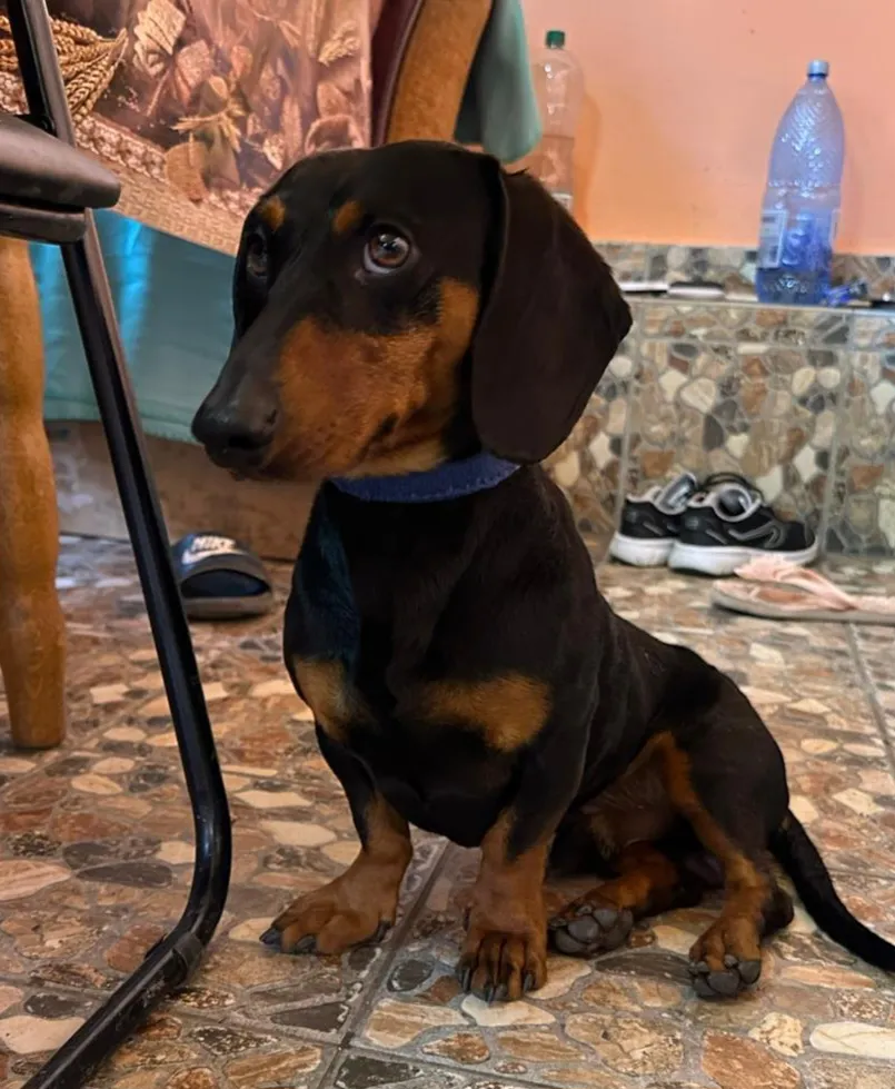 REXI Foto 1