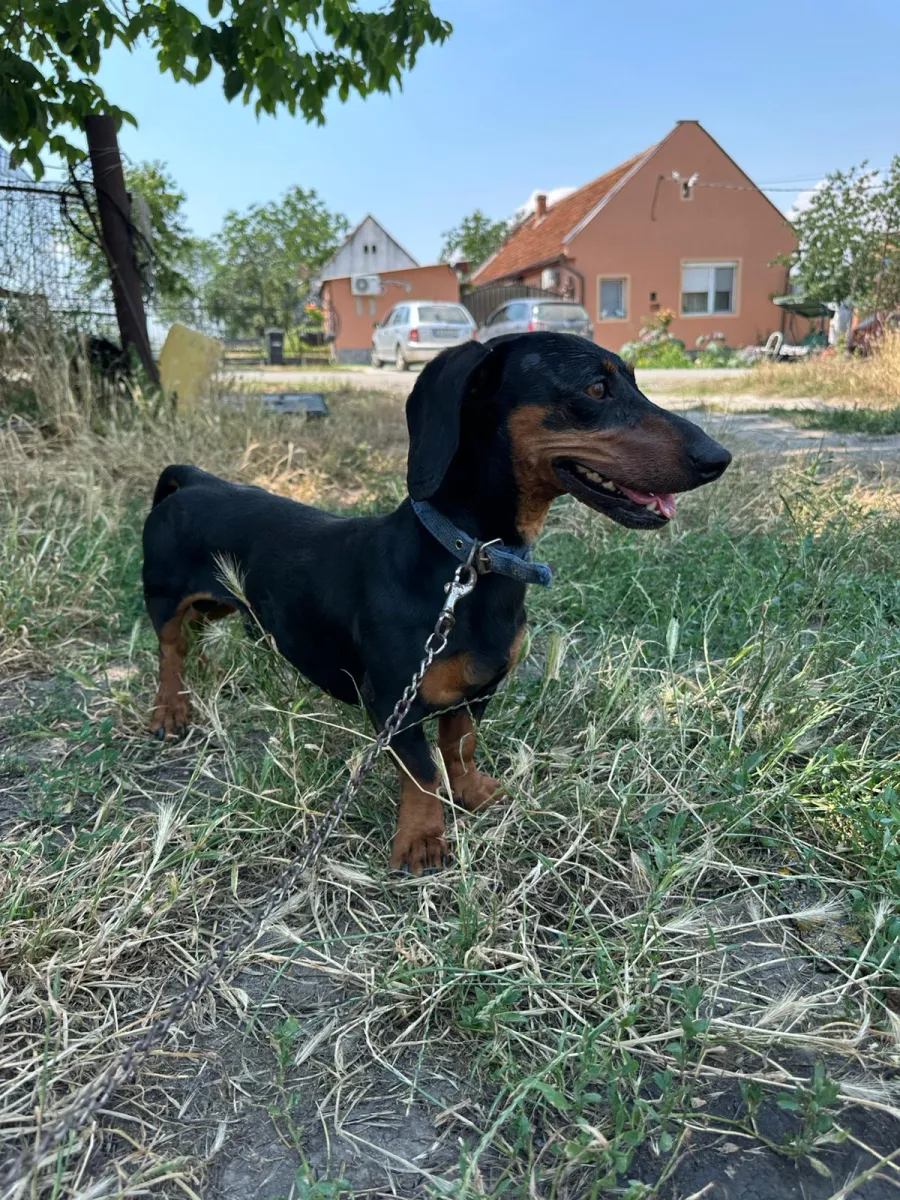 REXI Foto 4