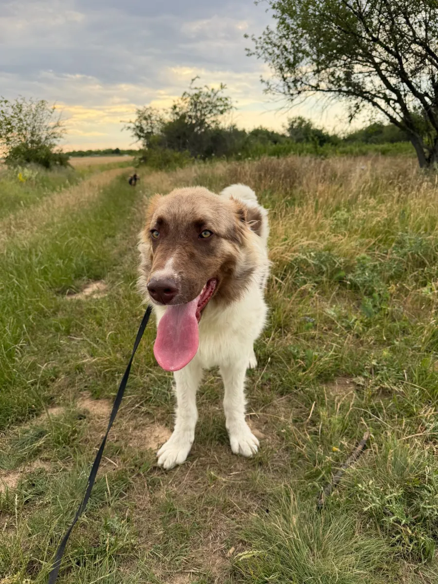 Hazel Foto 5
