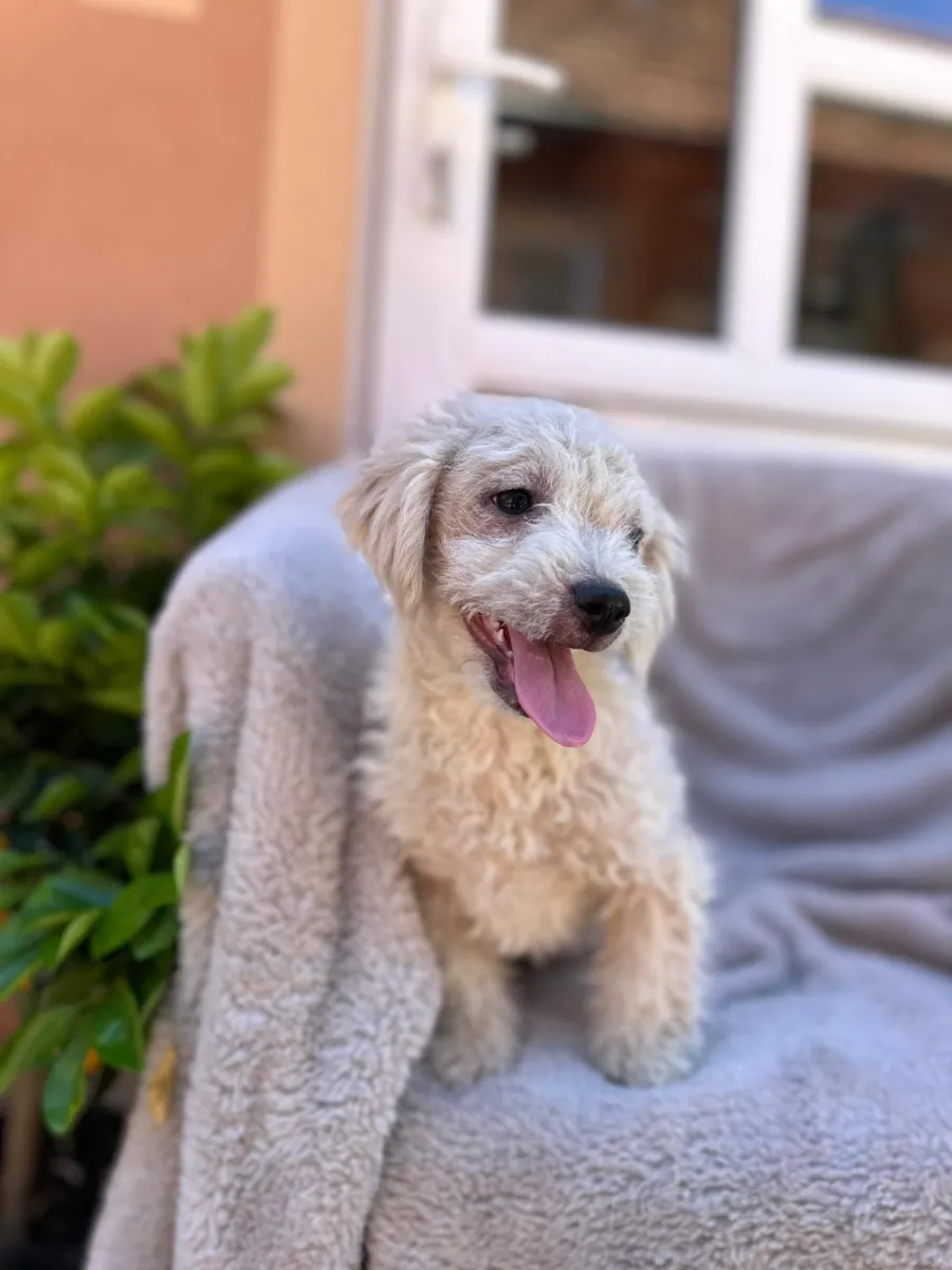 Minca Foto 3
