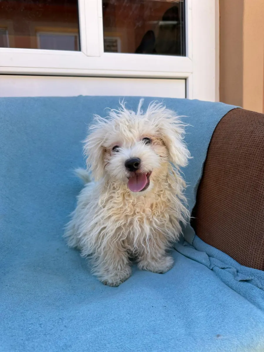 Bilbo Foto 2