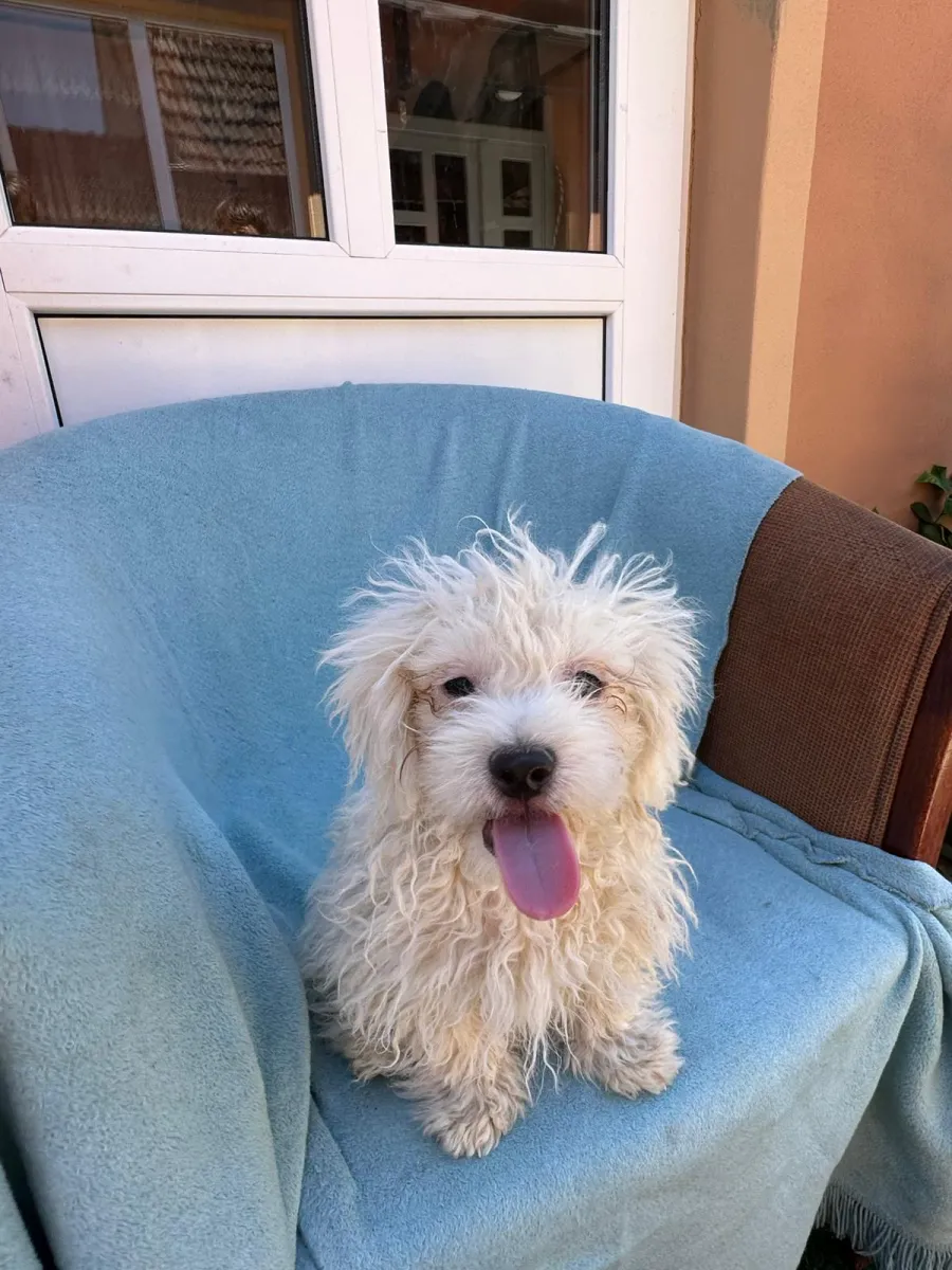 Bilbo Foto 3