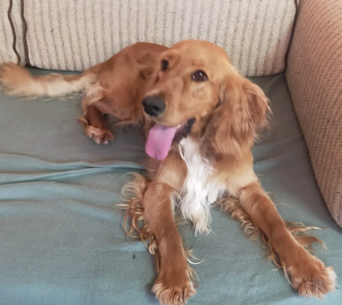 TEDI Foto 2