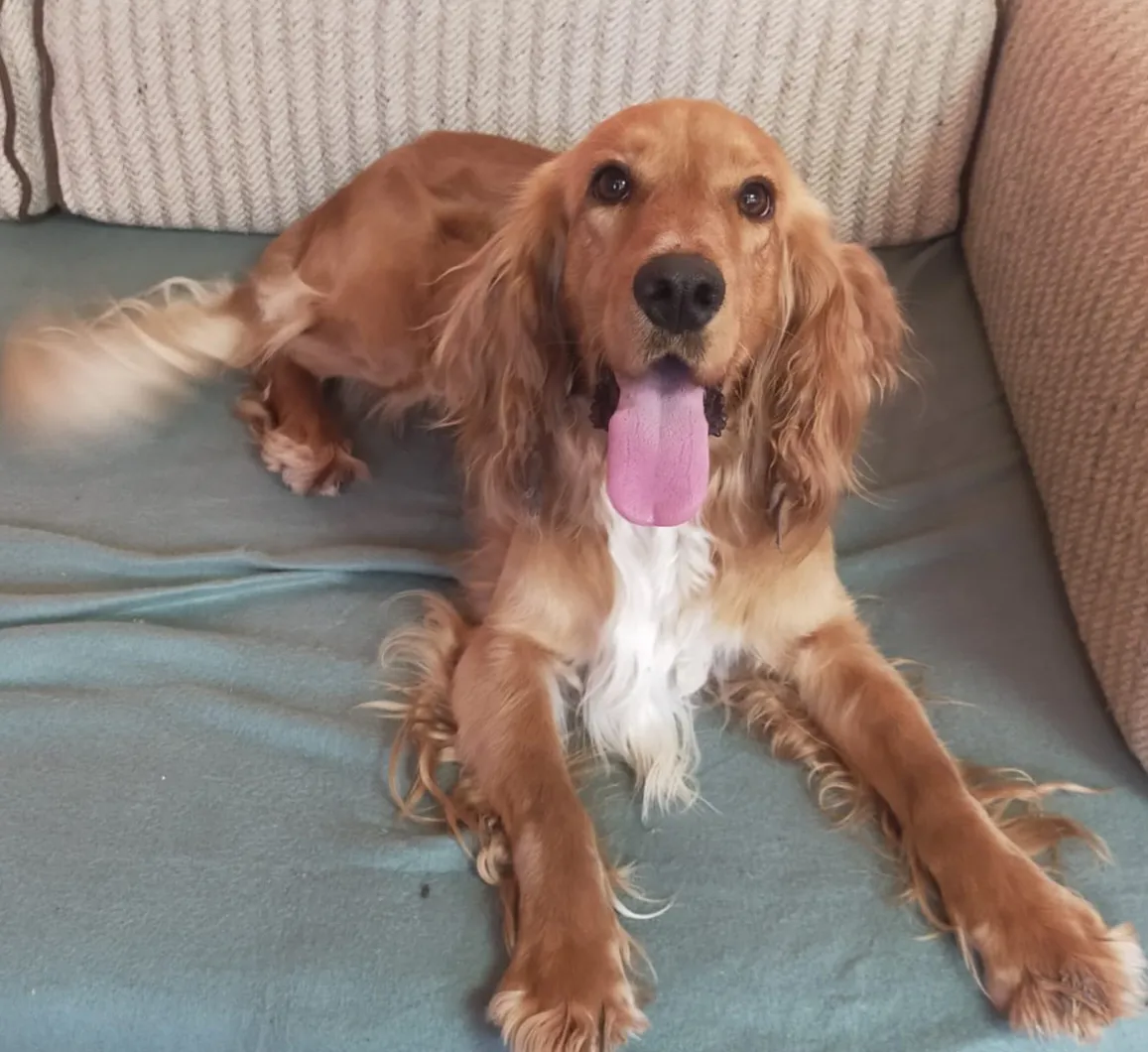 TEDI Foto 3