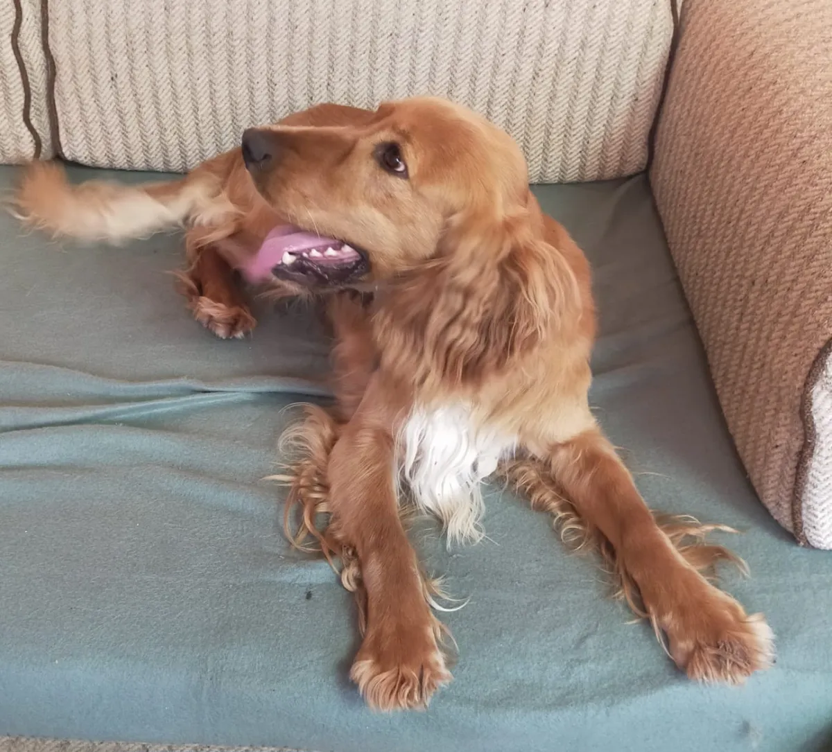TEDI Foto 4