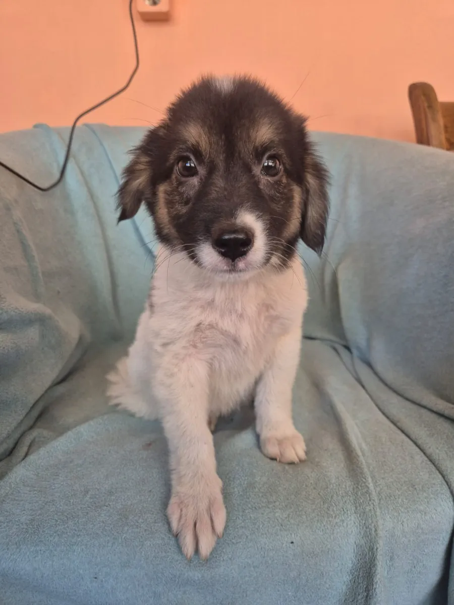 Elsa Foto 4