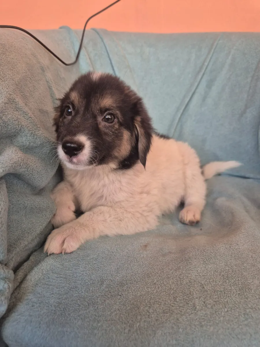 Elsa Foto 5