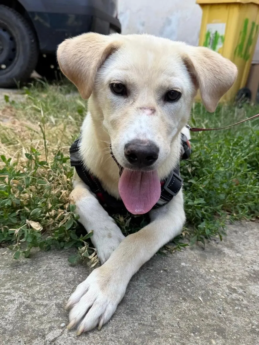 Betty Foto 4