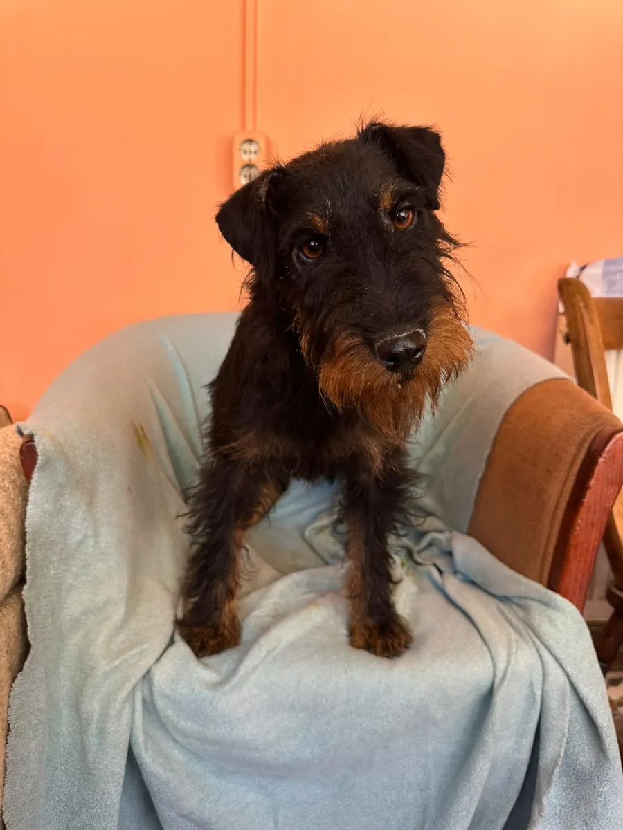 Otis Foto 1