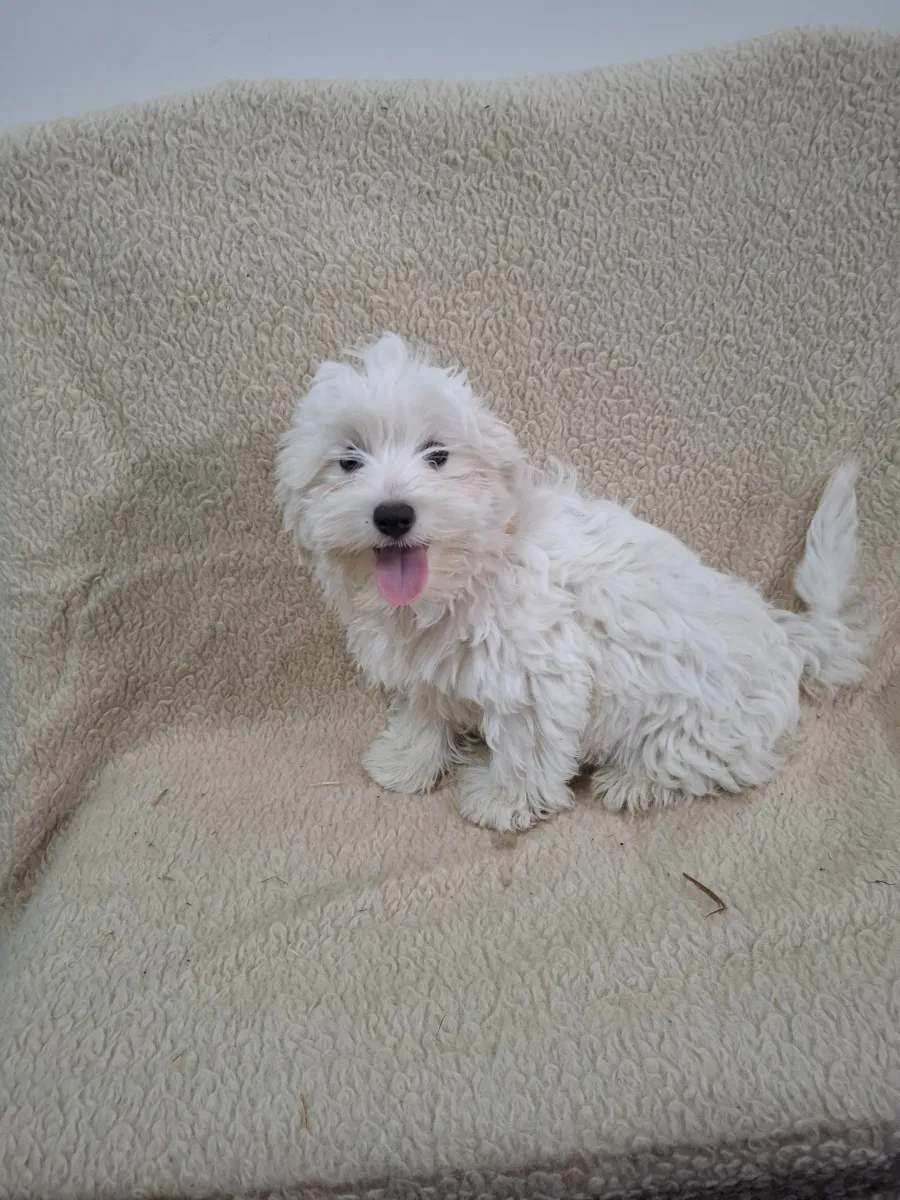 Finn Foto 3