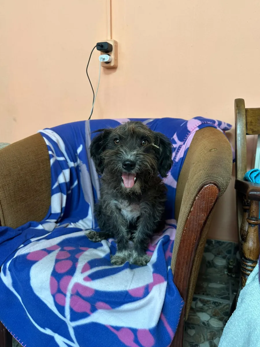 Balu Foto 2