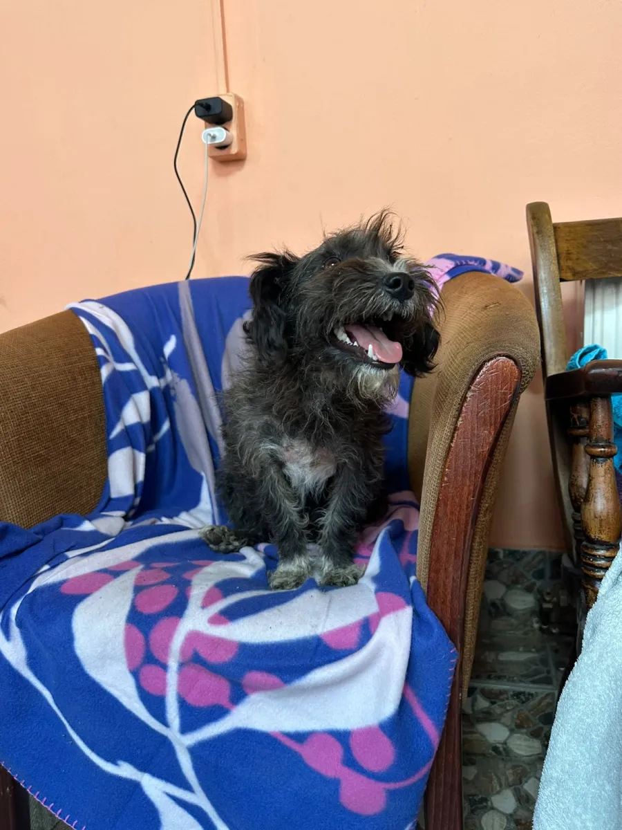 Balu Foto 3