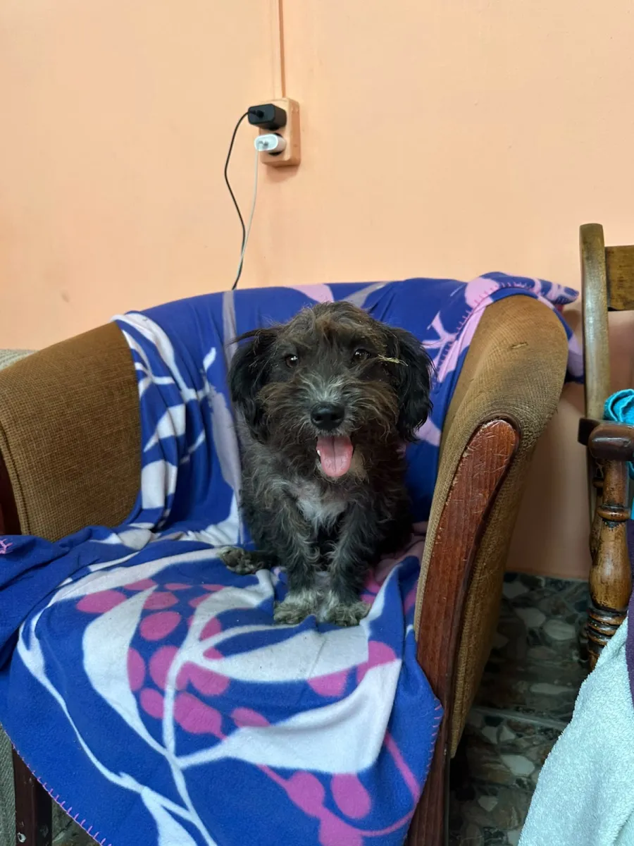 Balu Foto 4