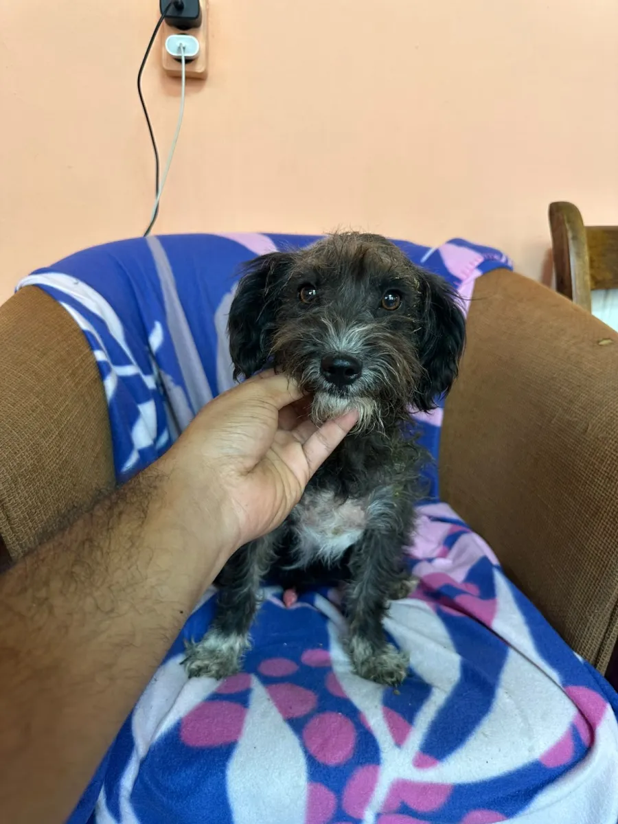 Balu Foto 6