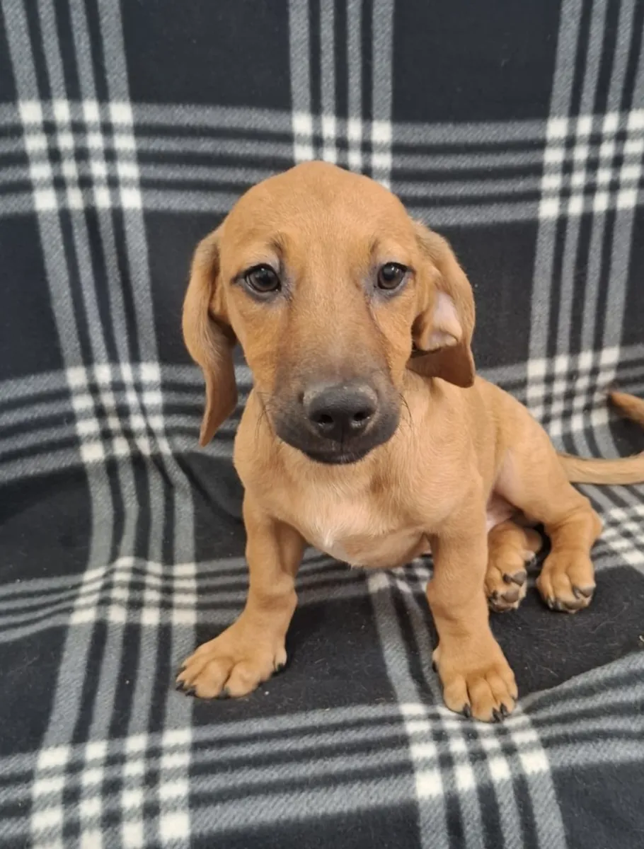 Hugo Foto 2