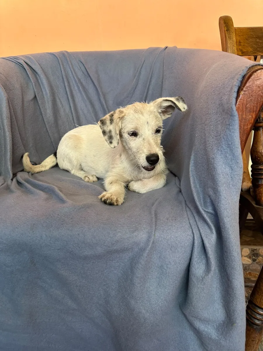 Tilly Foto 3
