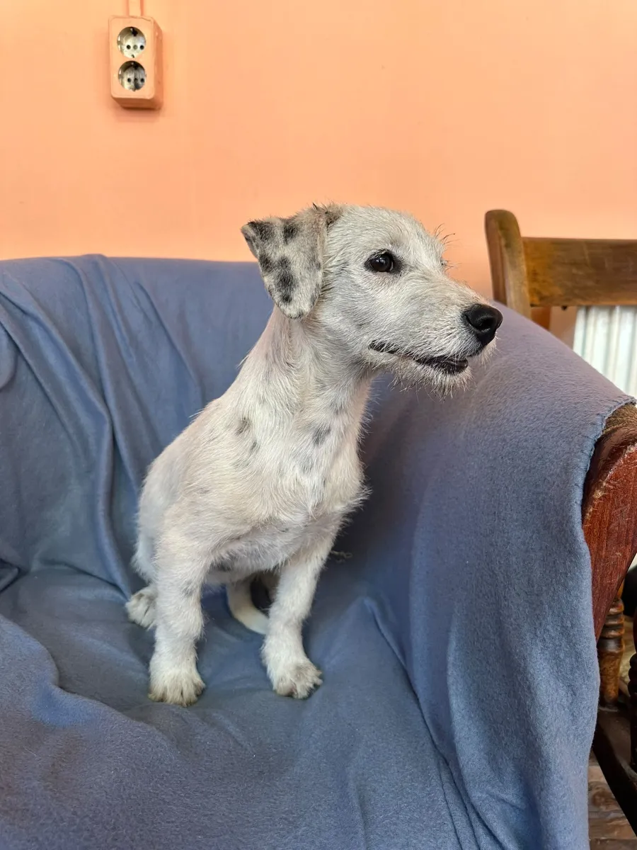 Tilly Foto 5