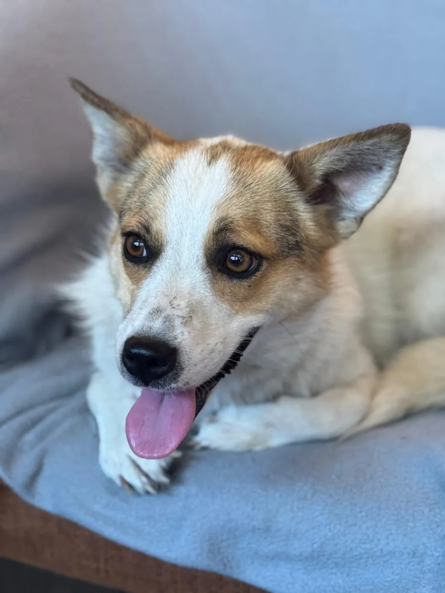 Zoey Foto 1