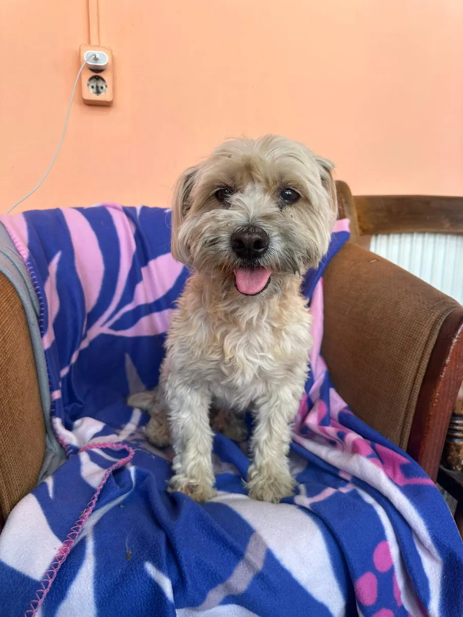 Benny Foto 1