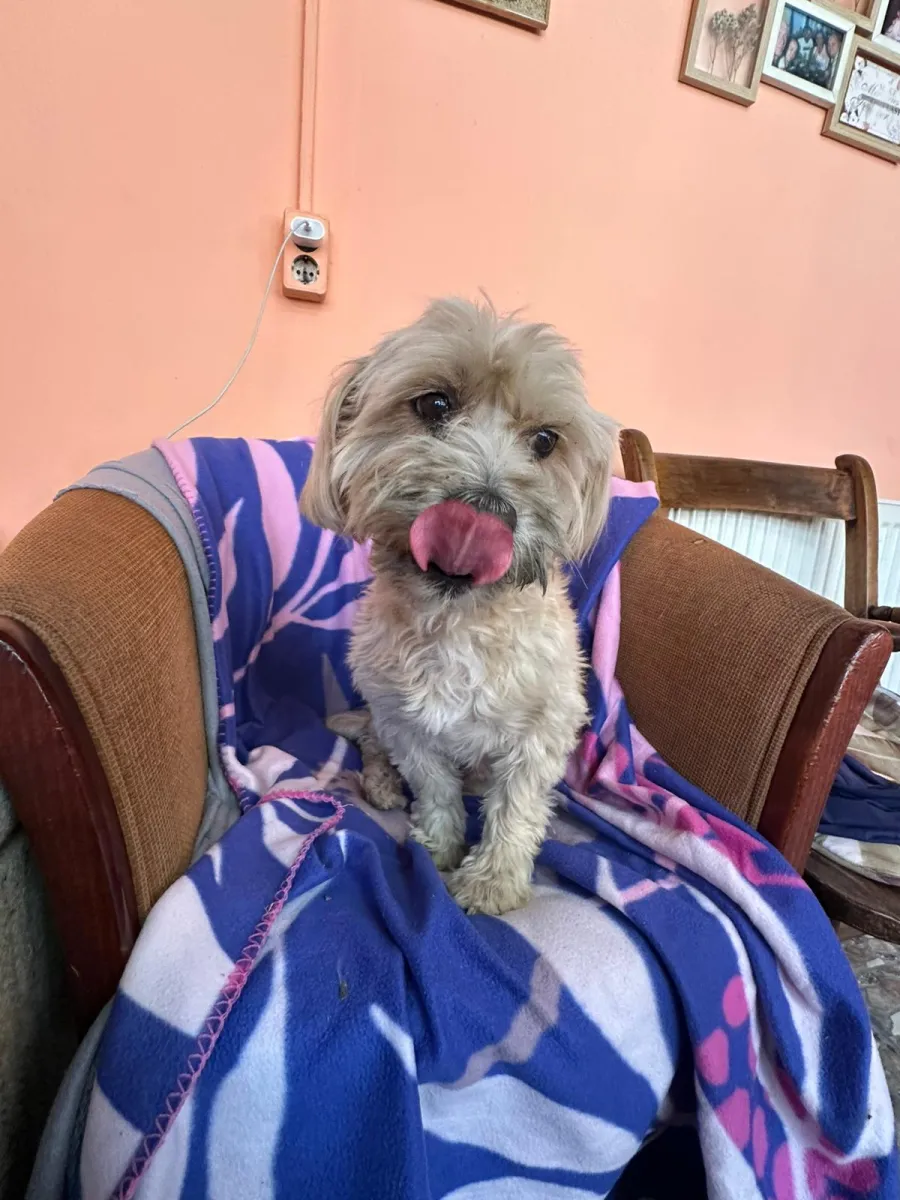 Benny Foto 2
