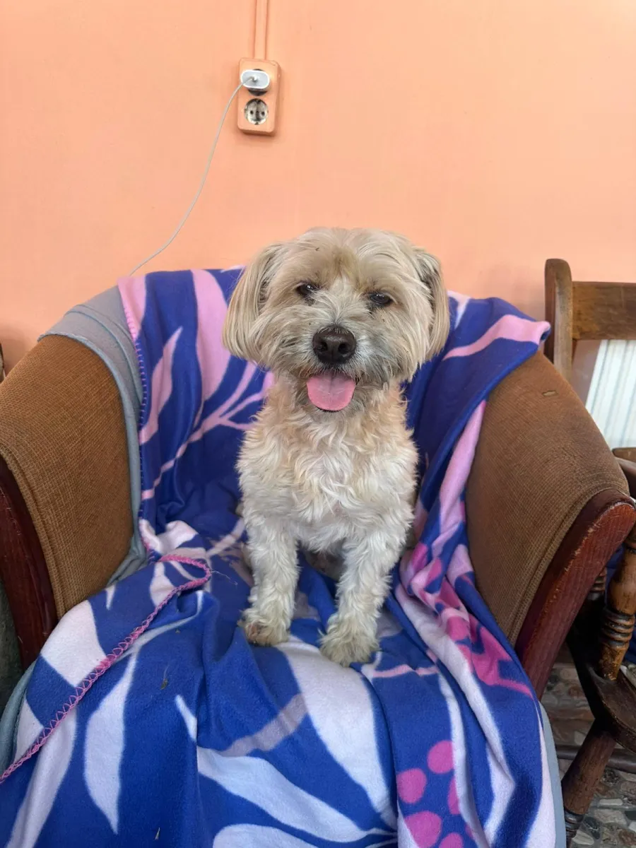 Benny Foto 3