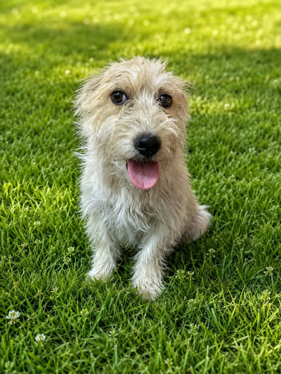 Meggy Foto 4