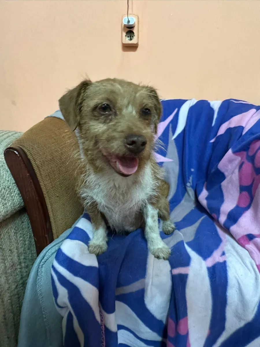 Lotti Foto 2