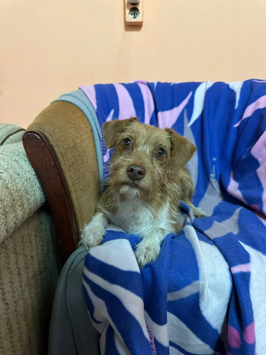 Lotti Foto 4