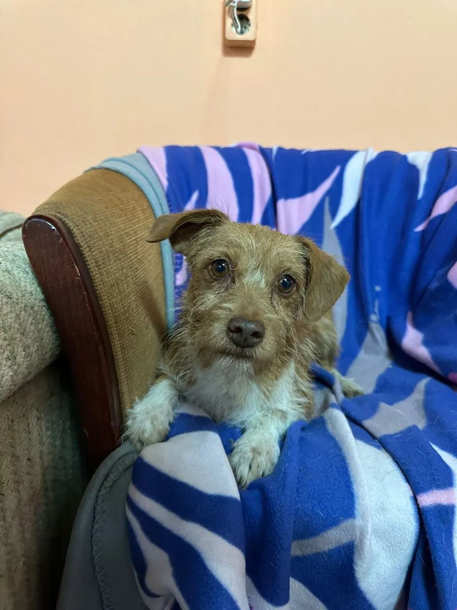 Lotti Foto 5