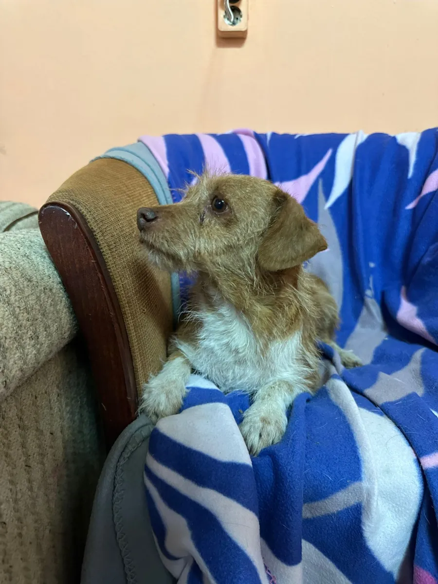 Lotti Foto 7